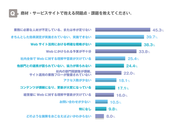 商材・サービスサイトで抱える問題点・課題を教えてください。