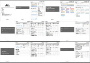 20~30枚ほどのPDFレポート。目次や表題なども出力されるため、共有用資料としても使える