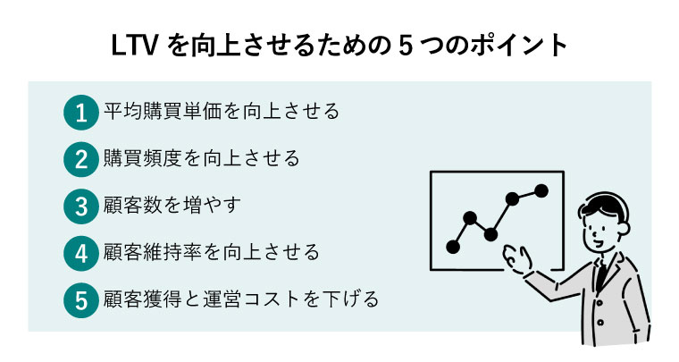 ltv 向上