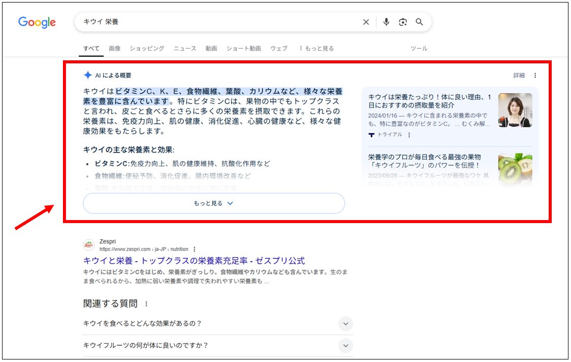 AI Overview（AIによる概要）が表示された検索結果画面