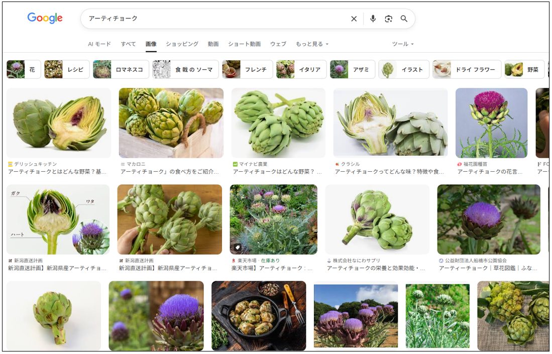 ウェブブラウザに表示される画像検索画面のスクリーンショット