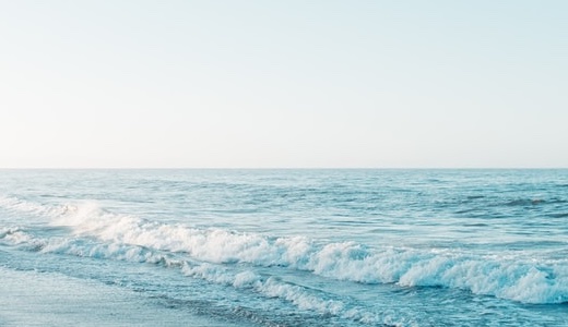 株式会社Synergy Career