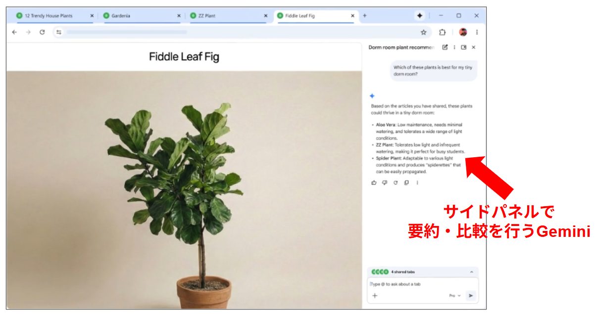 Google Chromeで複数タブを開いた状態で、右側のGeminiサイドパネルが植物情報を比較・整理している画面
